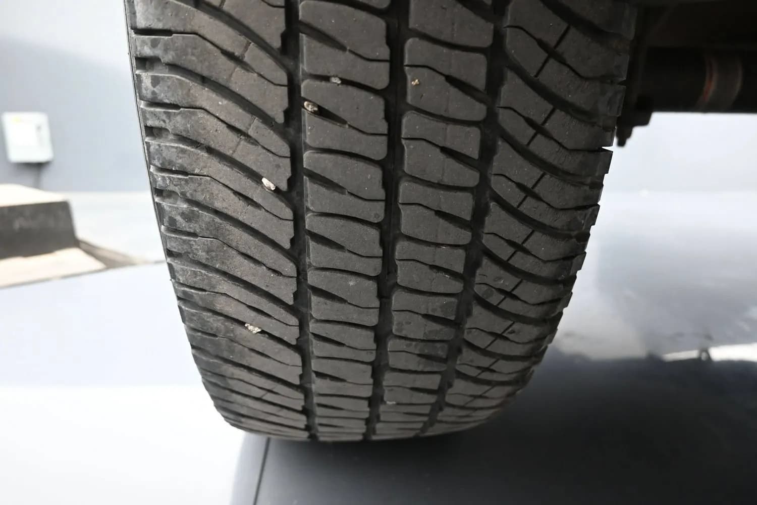 Thumbnail 19