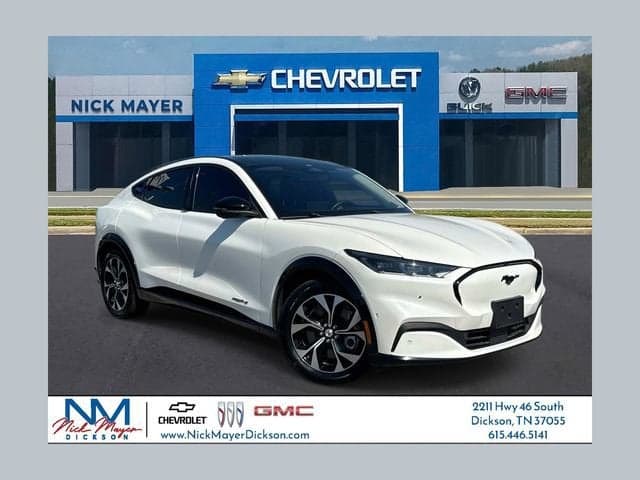 2021 Ford Mustang Mach-E - Photo 1